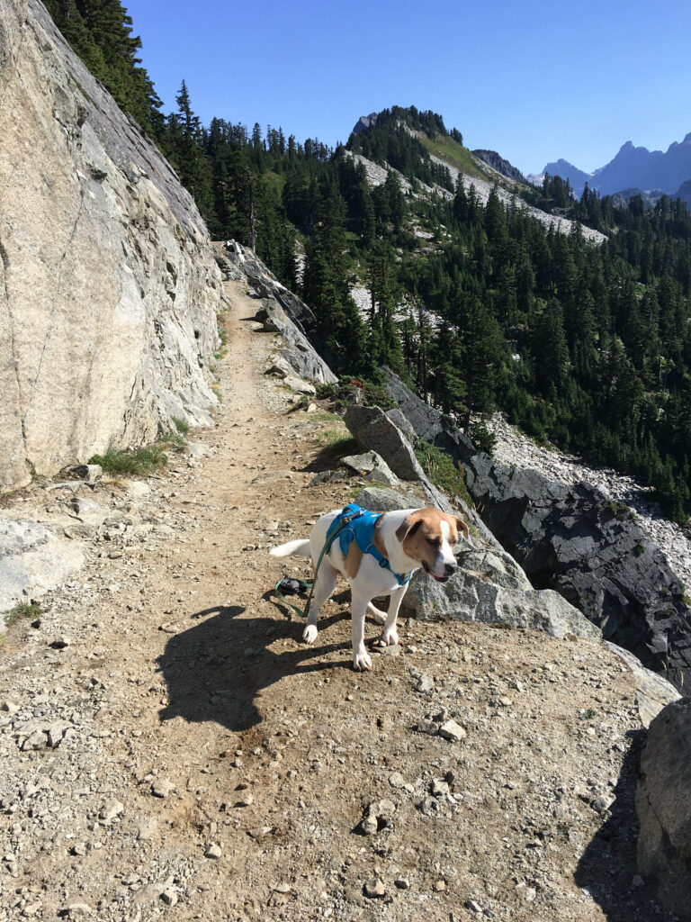 Hiking on the PCT Leads to  Questioning Should