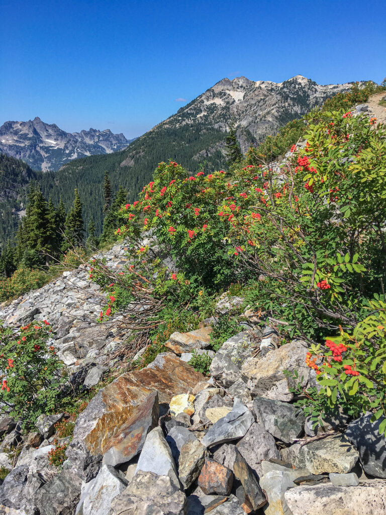 Hiking on the PCT Leads to  Questioning Should