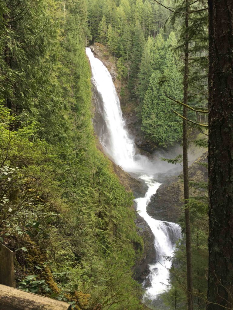 Finding Empowerment on the Wallace Lake Loop Trail