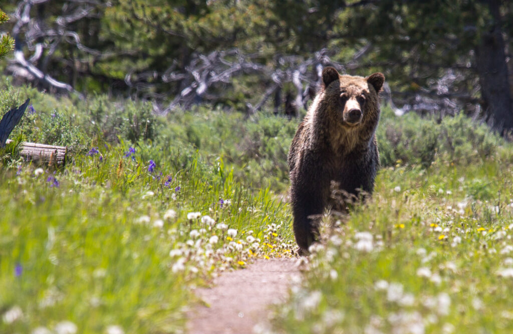 Finding Empowerment on the Wallace Lake Loop Trail