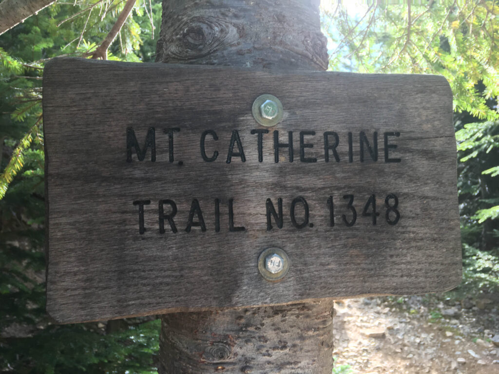 Life Lessons: Picking Beautiful Berries on Mt. Catherine