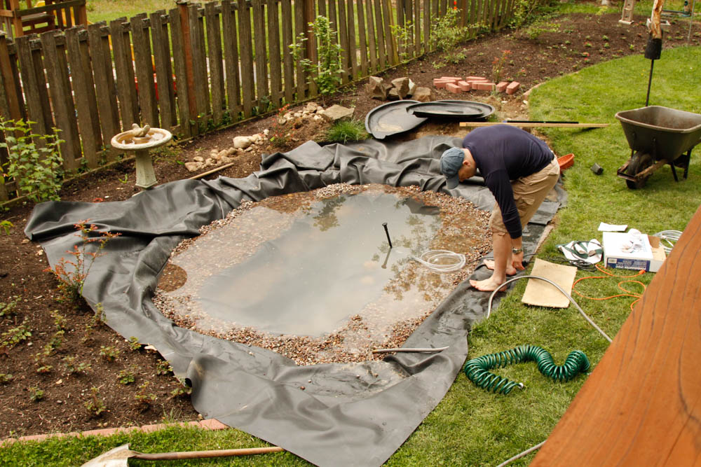 Backyard Wildlife Habitat: Ten Year Origin and Evolution