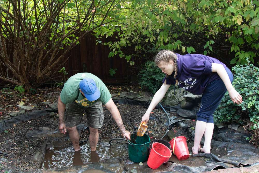 Backyard Wildlife Habitat: Ten Year Origin and Evolution