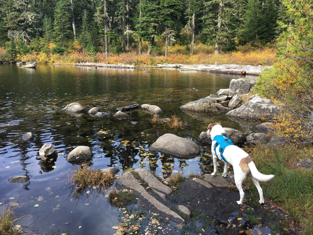 Narrowly Escaping Injury in the Alpine Lakes Area