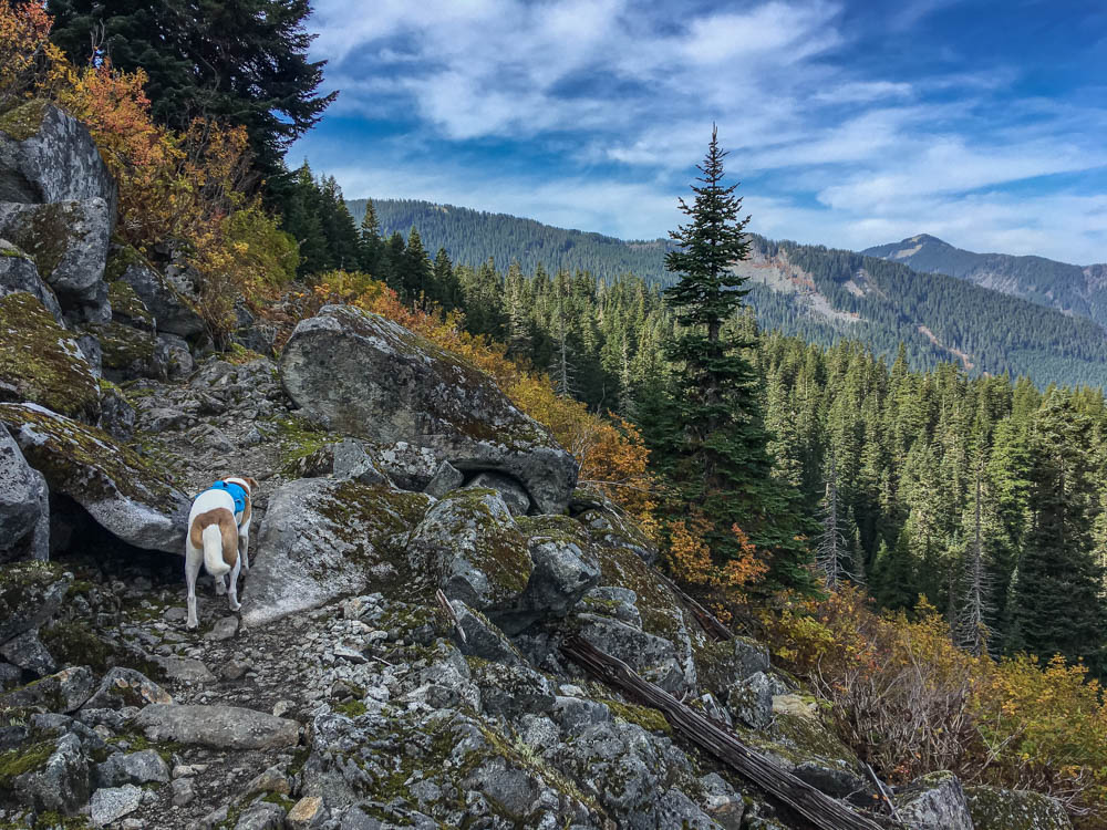 Narrowly Escaping Injury in the Alpine Lakes Area