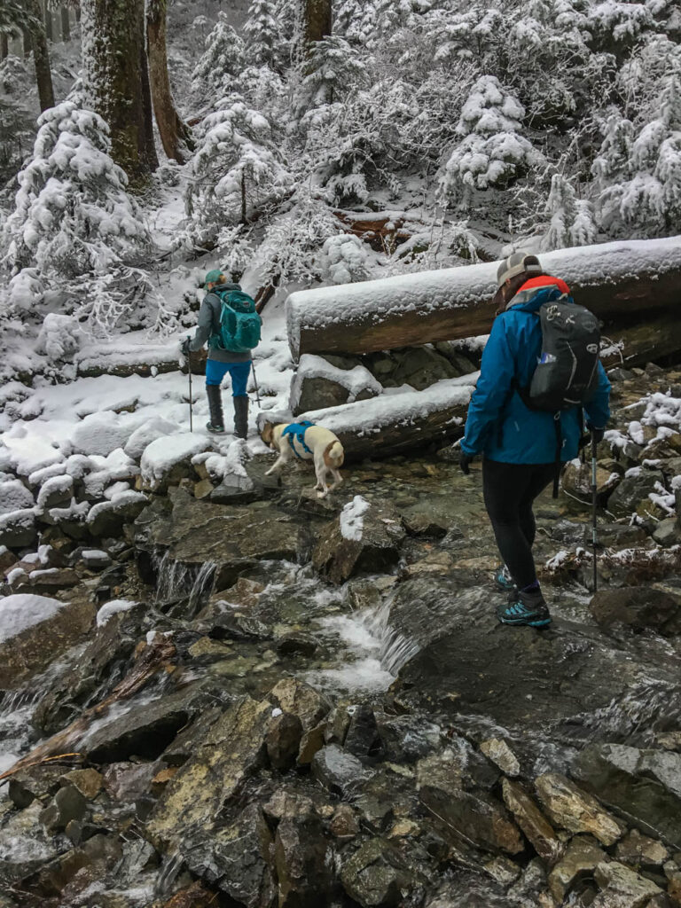 Our first stream crossing at the north fork of Cold Creek. Ajax is a trooper!