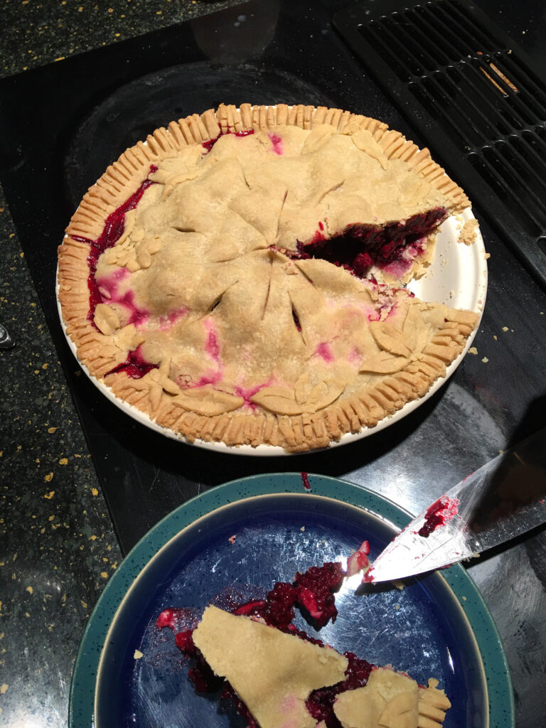 On "Pi day" (March 14) we sometimes make a berry pie to celebrate, a photo that could match either the "sweet treat" or "purple" prompt.