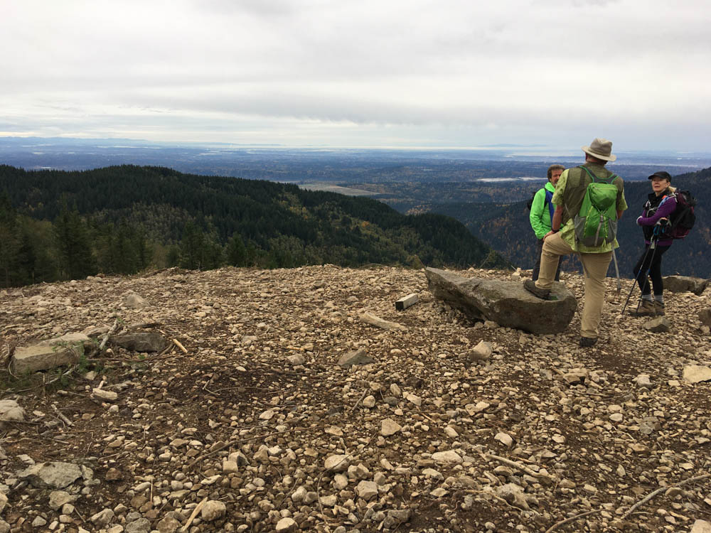 Tiger Mountain's Beauty Remains Despite Logging