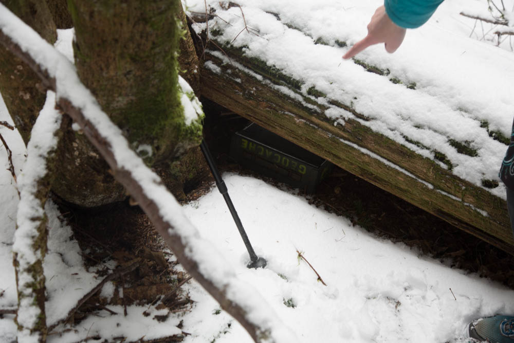 Tiger Mountain's Beauty Remains Despite Logging