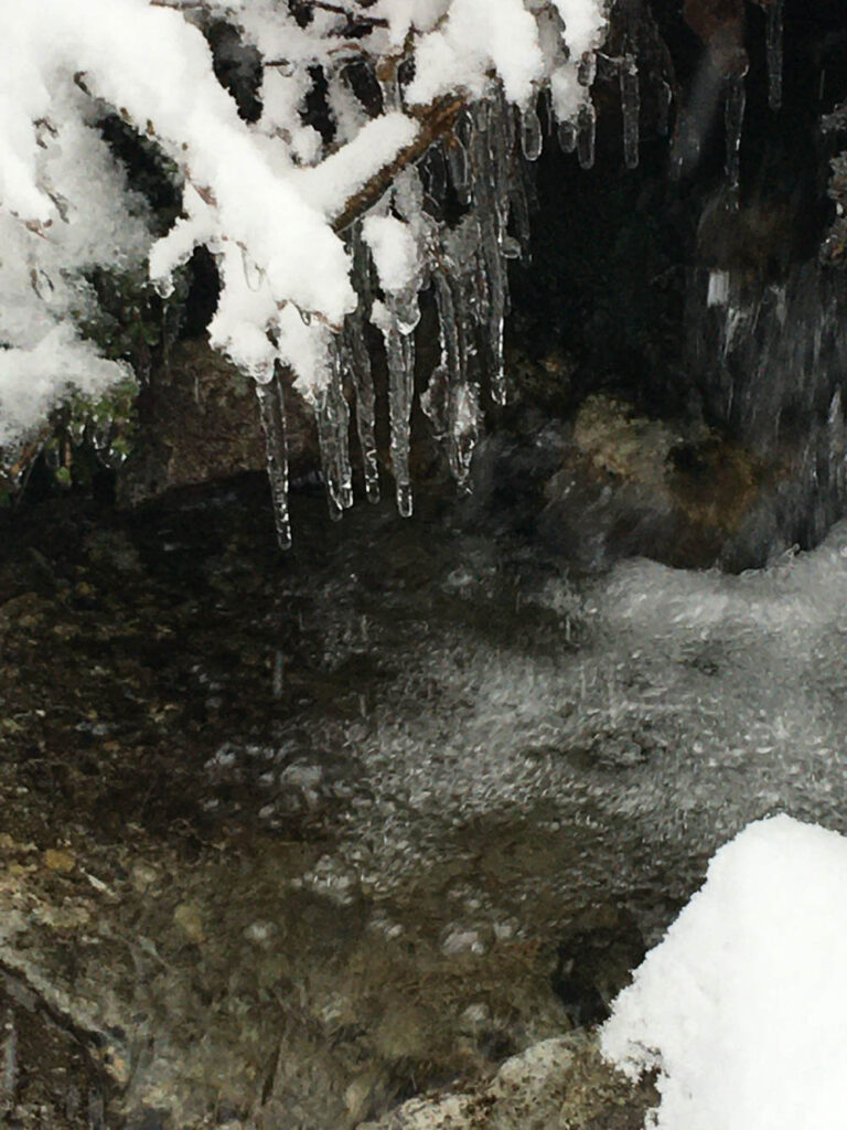 Delicate icicles formed along the banks of Cold Creek.