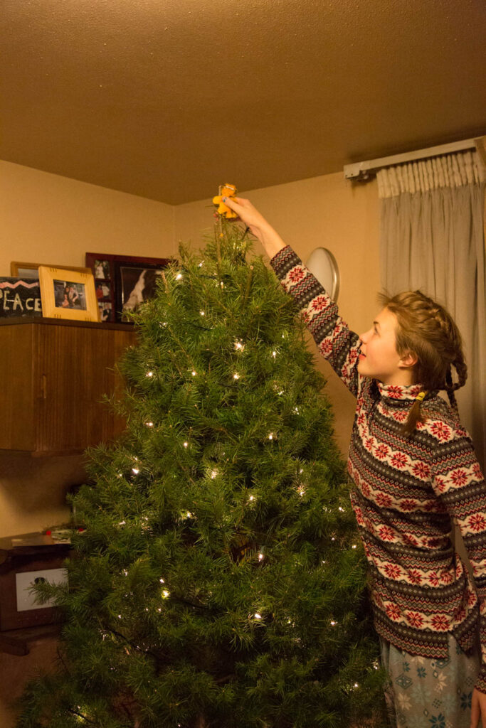 An example of a photo that could fit several prompts from Week 1 - family, favorite (tree topper), green, inspiration. Get creative!