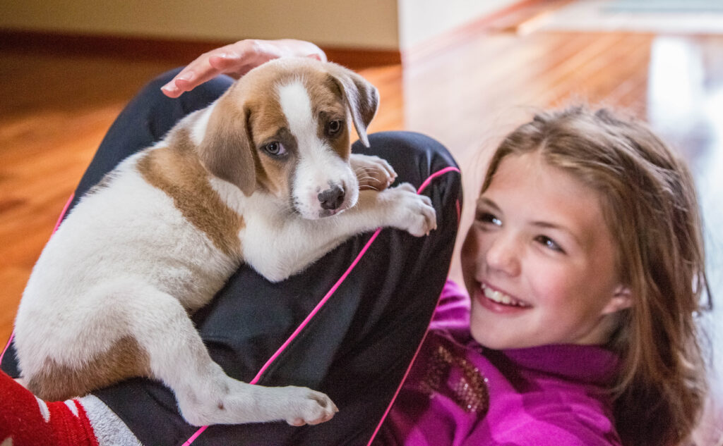 Ajax at eight weeks old and the author's daughter cuddling July 2015.