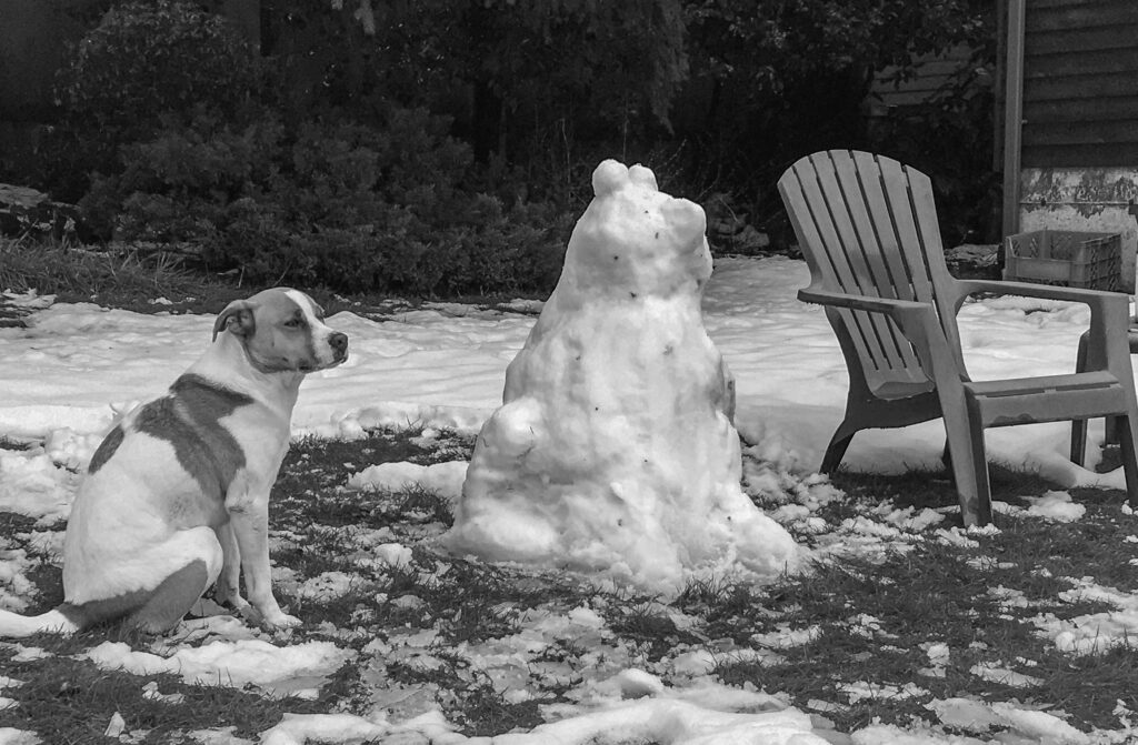 Ajax and the author's attempt to make a snow dog in his likeness during last February, 2021's snowstorm in Seattle. Snow Play Seasonal Pleasures