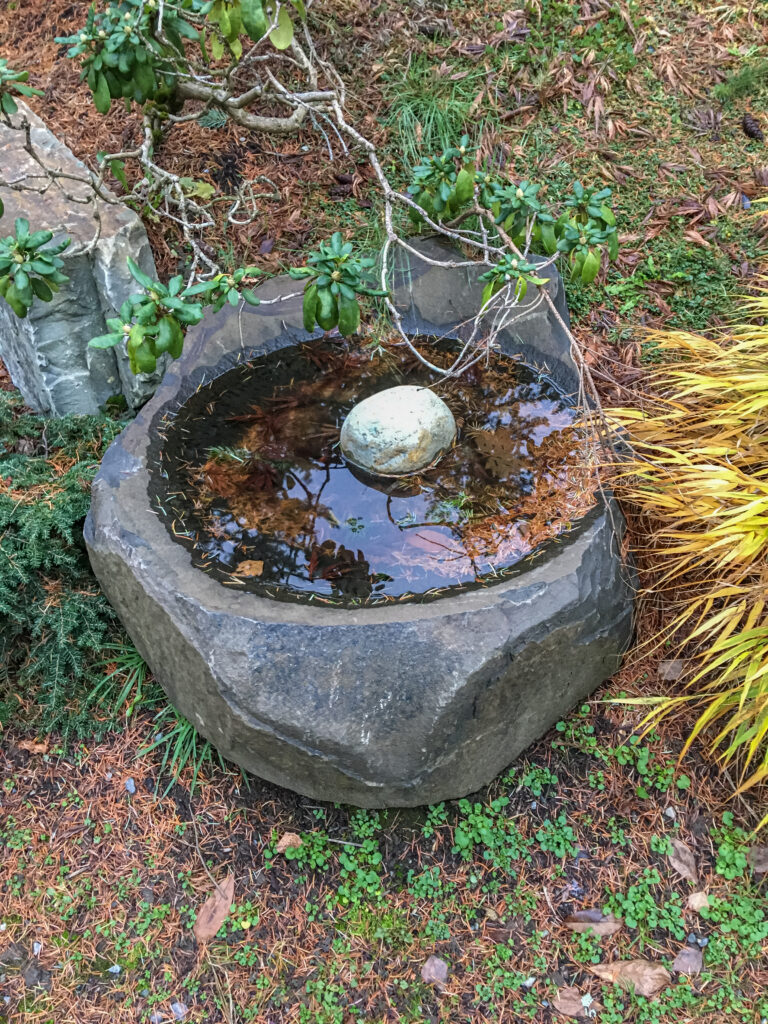 Maybe your one thing is to explore a new area of town and notice beauty. When that was my goal, I spotted this lovely Zen pond.