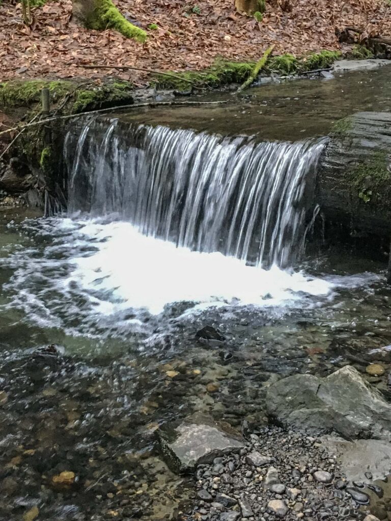 If only we could let harmful labels cascade off our backs like a waterfall.