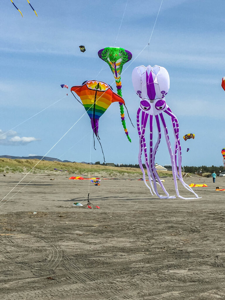 A barefoot walk on the beach was just what I needed. We didn't know there would be a kite festival going on!