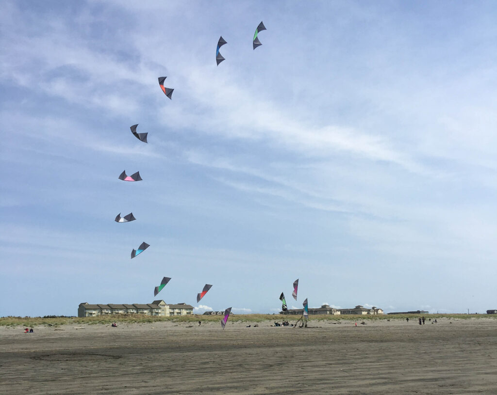 During my recent recovery weekend, not only did I get lots of rest, but I also enjoyed new-to-me "Synchronized Kite Flying" by the Quad Squad.