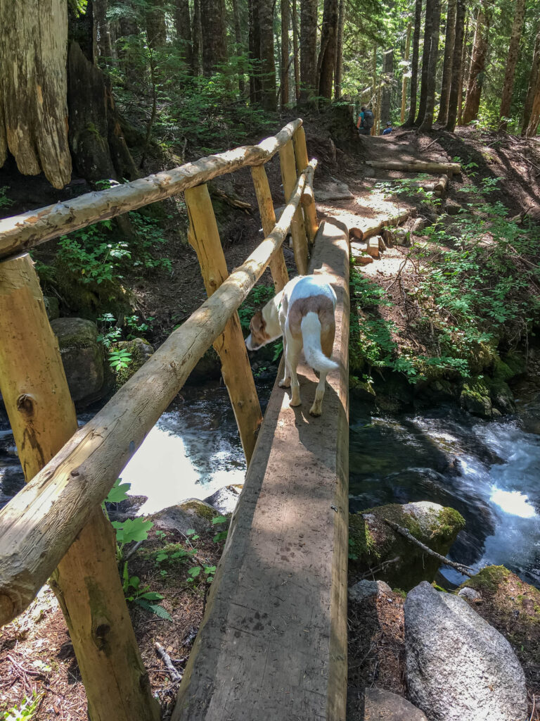 Crossing the bridge back from Talapus and Olallie Lakes, July 2021. We will return this year, I guarantee it. I never quit. Powerful paradigm shift.