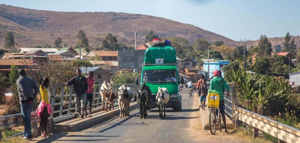 Approaching a busy city. Main roads in Madagascar are few and heavily used by all - zebu cattle, bikes, pedestrians, and what few transport vehicles there are, heavily laden with passengers and possessions.