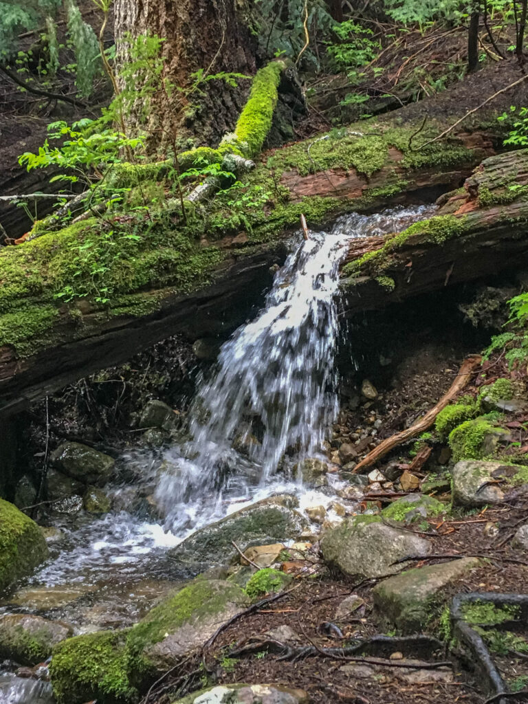 Log waterfall on the trail to Annette Lake.