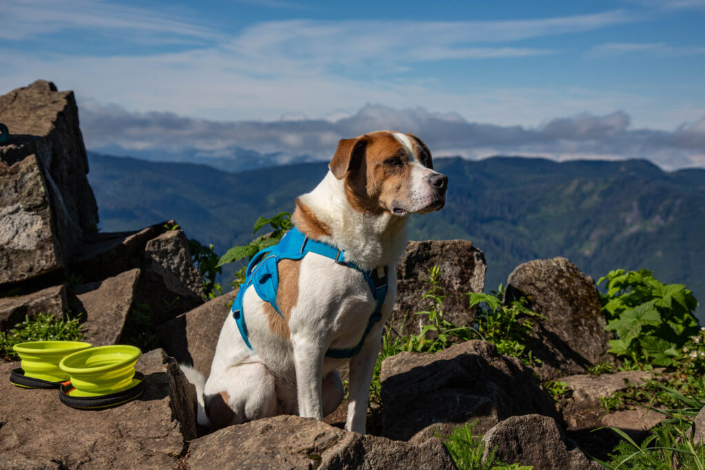 Solo hiking with Ajax allows me to set my own pace, rest as long (or short) as I want, explore side routes, and change destination on a whim. Solo hiking is the ultimate in freedom.