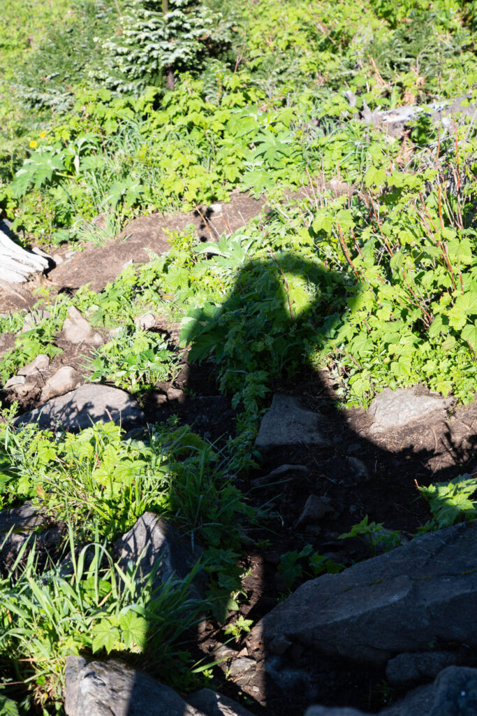 About the only downside of solo hiking is there's nobody around to snap your photograph. Fortunately, selfies are possible with cell phones, and DSLRs allow outside-the-box creativity such as shadow shots.