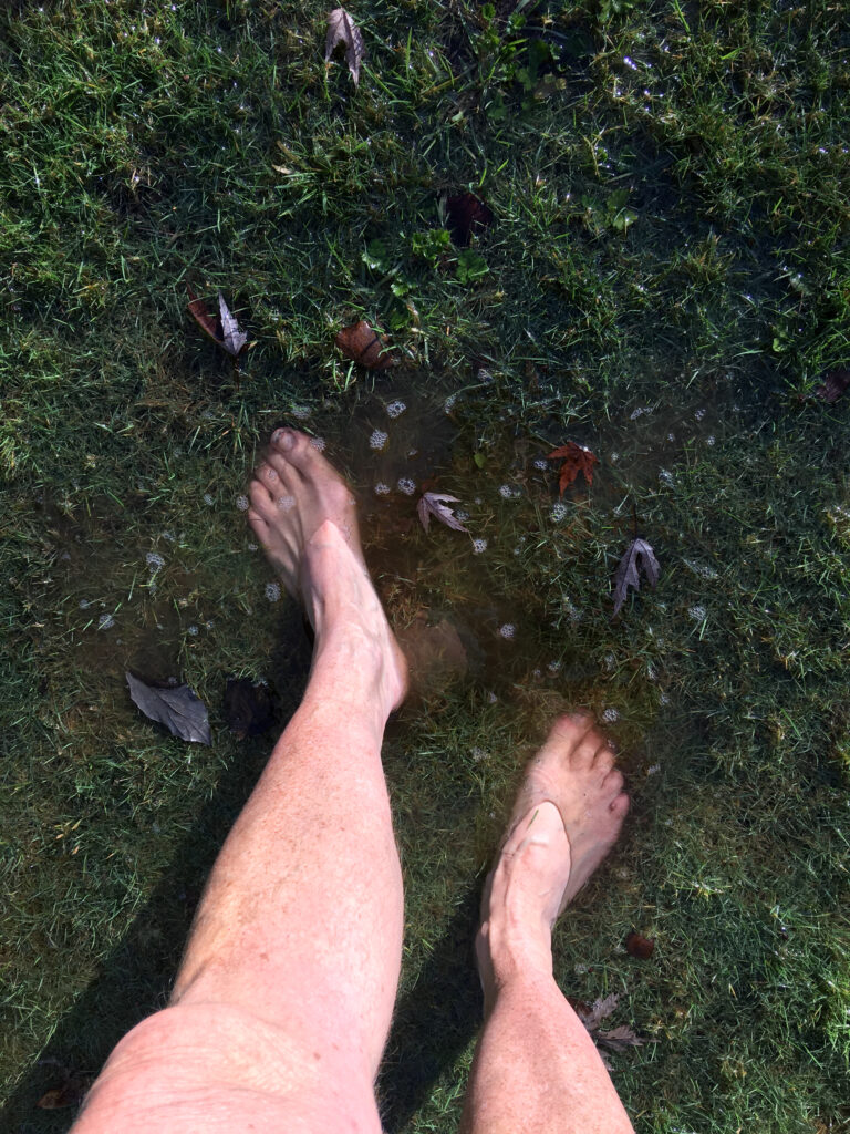 Grounding is perfect for any season. This was taken in February, 2021 during a particularly rainy time when patches of our yard had standing water.