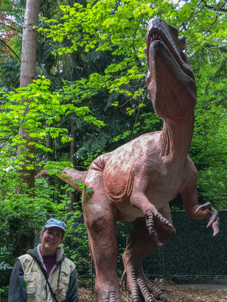 The author for scale next to a model T-Rex, Woodland Park Zoo summer 2021.