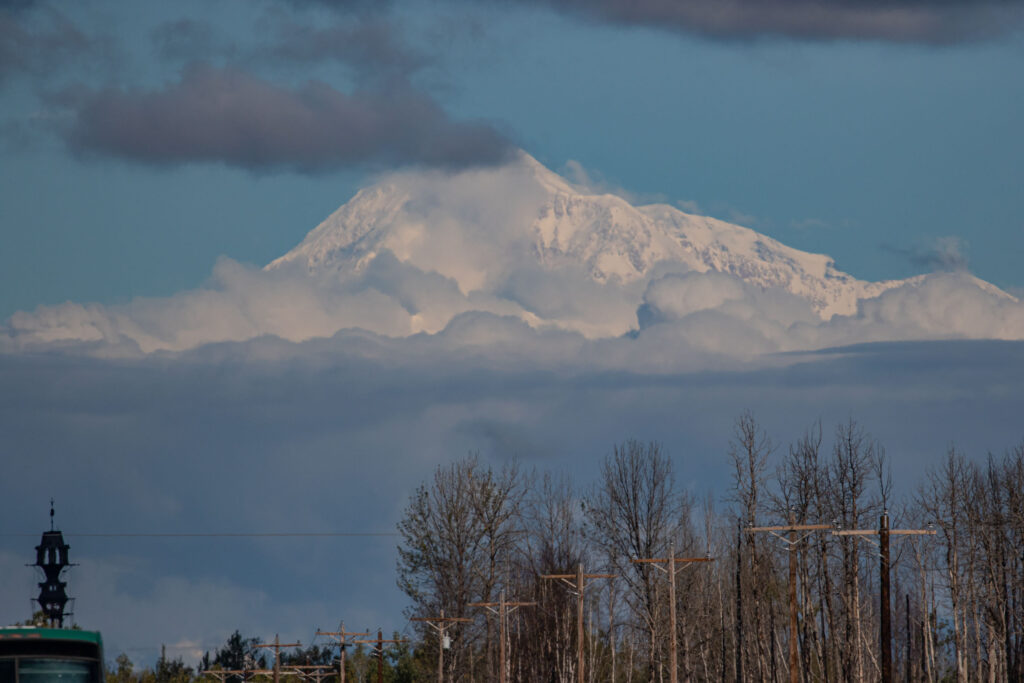 Our best look at Denali on day 4 as we left the area. My highest priority was spending time viewing wildlife in Denali National Park, while hopefully getting a glimpse of North America's highest mountain.