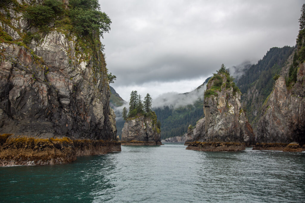 How to Savor Moments: Lessons from Kenai Fjords