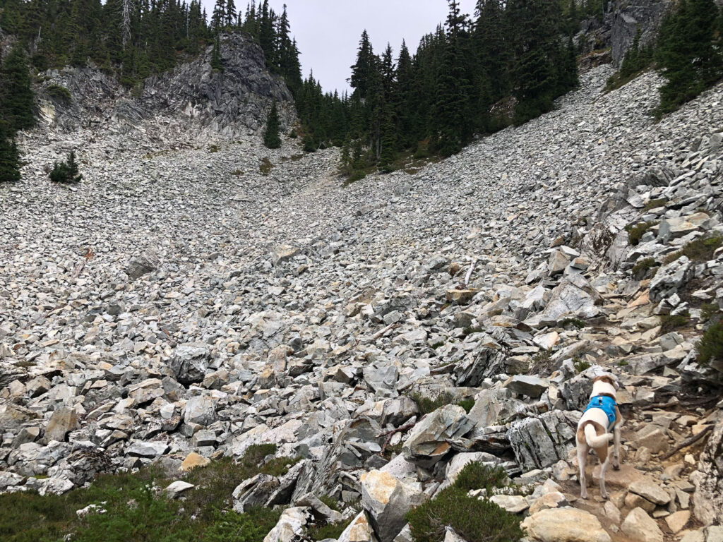 The final talus slope just about turned us around. Until we examined where the path went and decided it didn't look too bad. May my daughter, as a new university student, find her roadmap through the next four years and be as filled with excitement about the prospects as I was on reaching this slope.