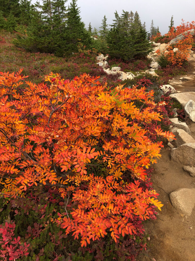 Our walking meditation revealed Mother Nature's finest colors.