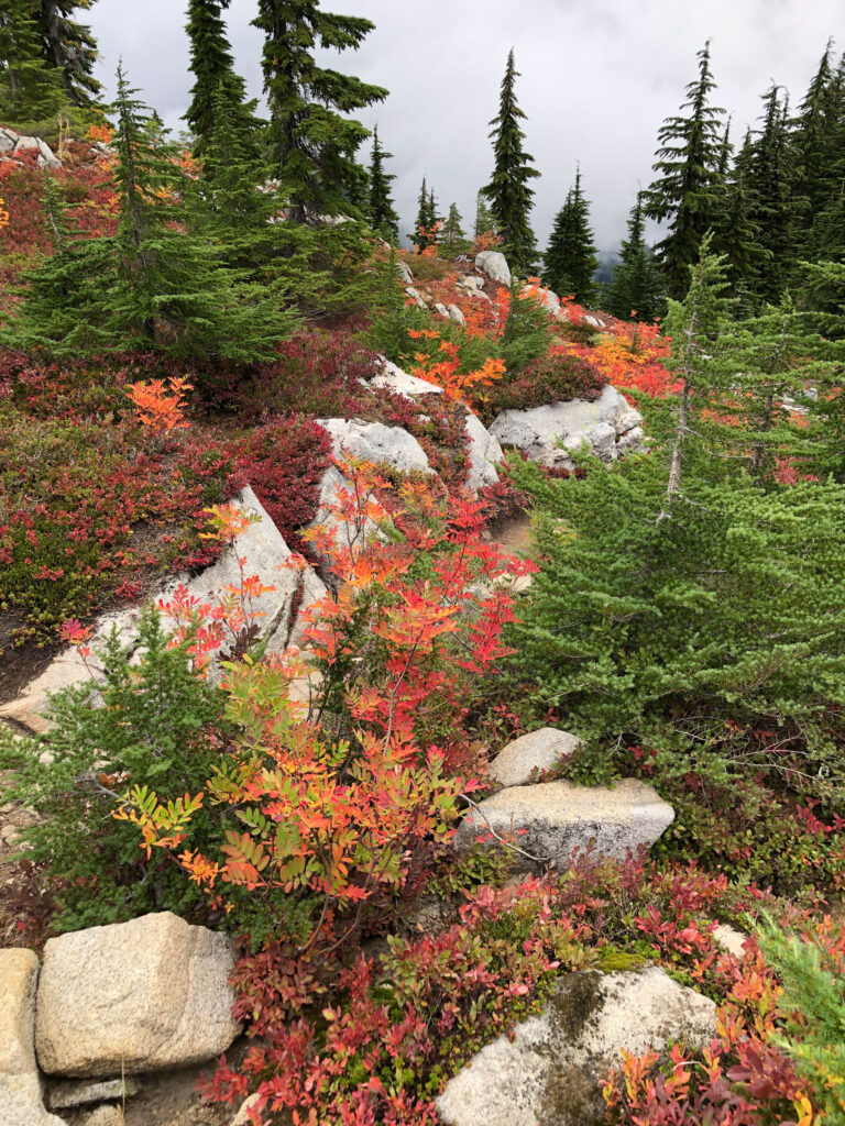 A bountiful array of colors filled the basin below Granite Mountain's summit.