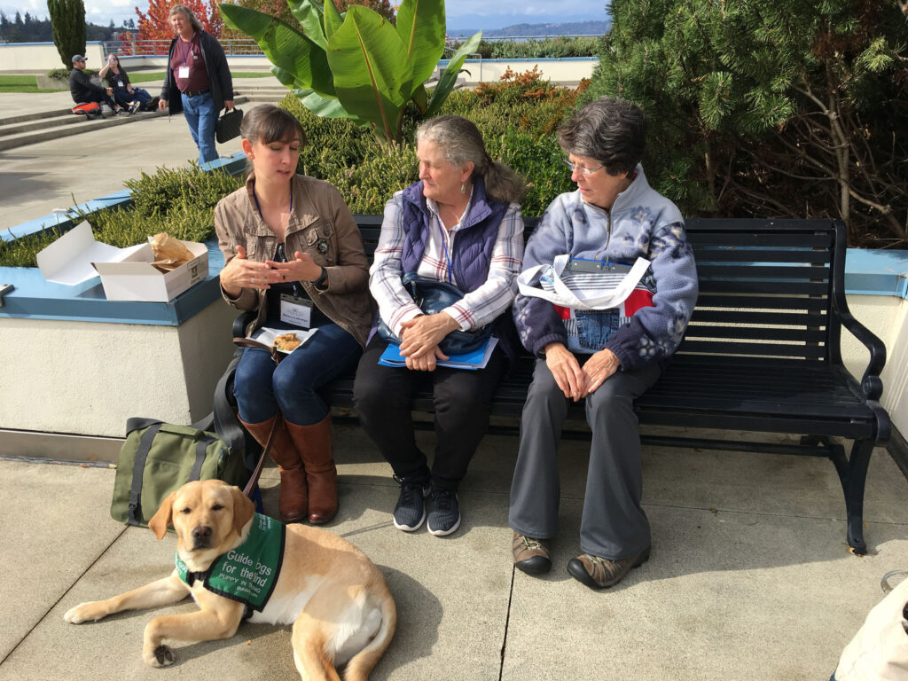 WOTS participants in 2019 enjoy lunch and conversation on a glorious fall day in Edmonds.