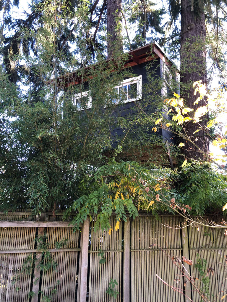 I spotted this gorgeous treehouse and created a story about the users. Did someone build it as a writer's retreat? for kids' sleepovers? for bird watching?