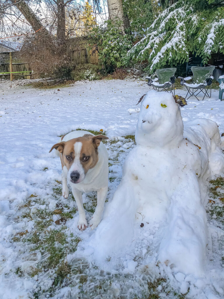 Ajax and a snow dog I built during our most recent snowfall on December 3. Playing in the snow and hiking are two activities that help me release stress.