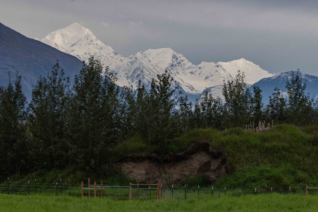 Stunning Alaska mountains in September. I must return.
