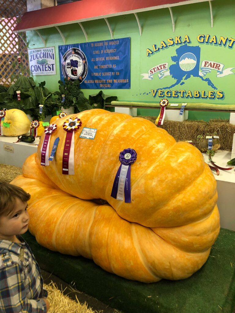 This award-winning pumpkin weighed a whopping 2,147 pounds.