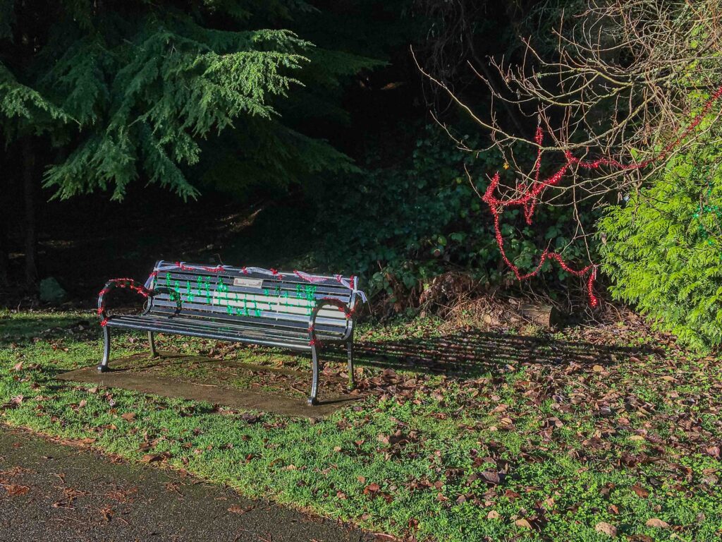 A memorial bench decorated in holiday streamers. Taking five minutes to sit outside on a bench barefoot can improve your mood dramatically.