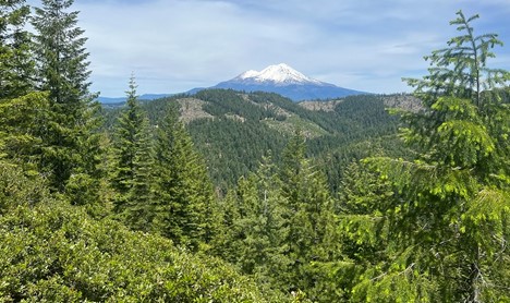 As I headed for what would be the last stretch of my hike, Mt. Shasta greeted me to the north. I spent the next two days at its base. The driver I hitched a ride with informed me that people died on the mountain the final night I had curled up in my tent waiting for the storm to pass -- a reminder of what matters most.