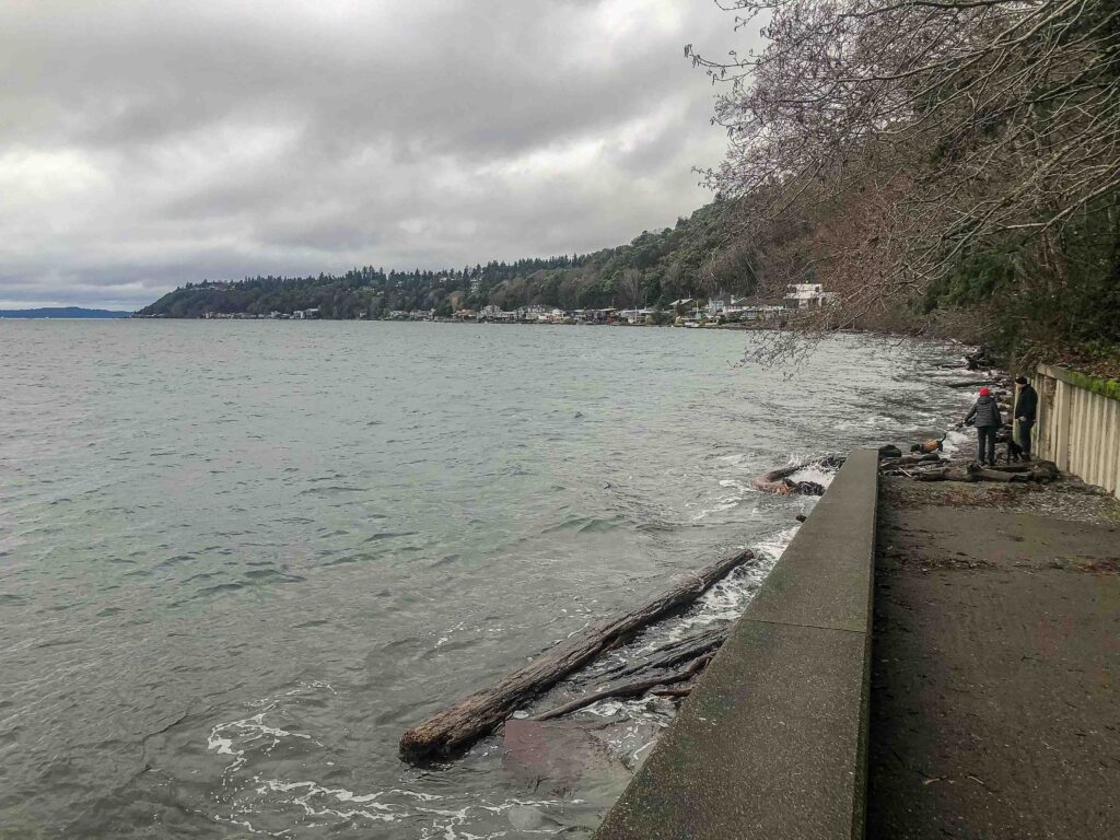 The view from Seahurst lakefront park on Wednesday, January 18, 2023. I am using Active Ajax Adventures to help cultivate a new sense of balance.