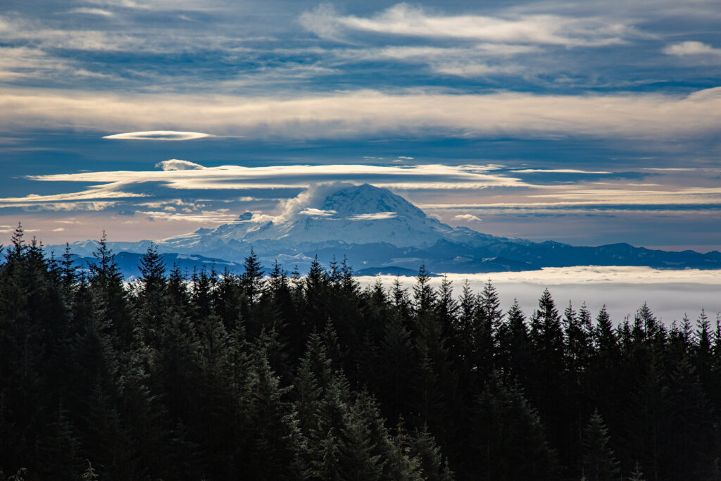 Mt. Rainier on January 26 seen from W. Tiger 1. For much of the morning, we hiked in fog or clouds. W. Tiger 3 had a thin layer of snow that only increased as we continued to W. Tiger 2 and 1.