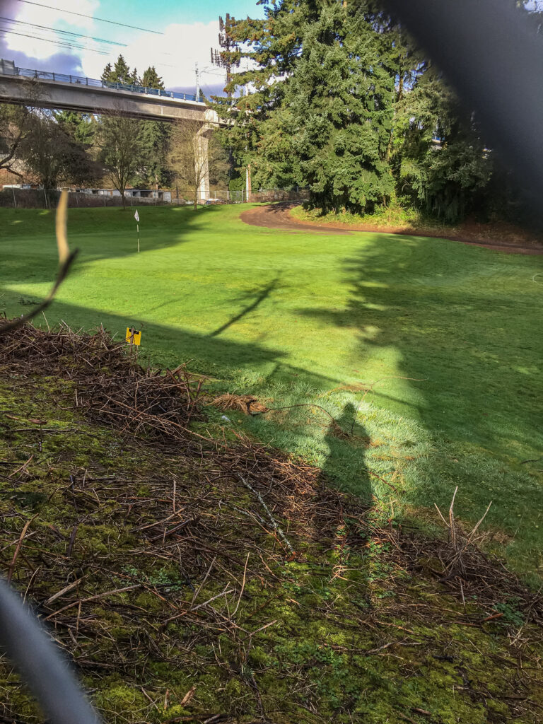 On a recent ramble around the Jackson Park Perimeter trail, I shot a picture of my shadow and the light-rail construction. I continue to be amazed by how beautiful the golf course is while the surrounding area has become a garbage dump.