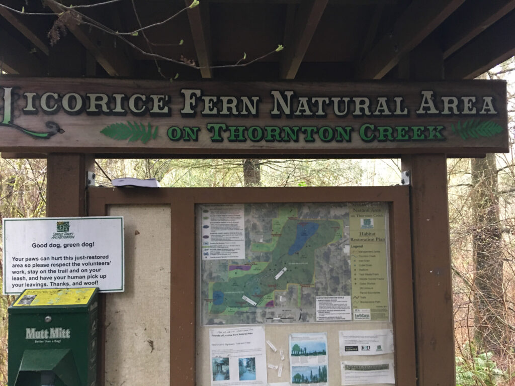 The Licorice Fern area will serve as my metaphor for change. The power of yet is strong.