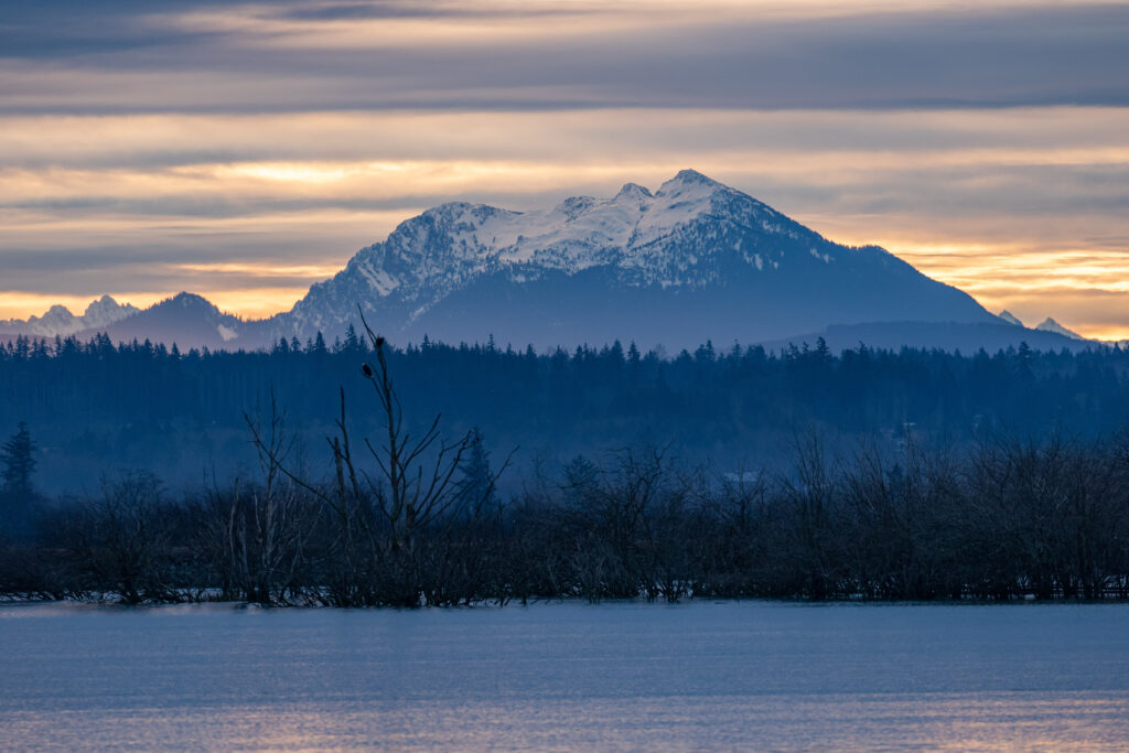The view from the Fir Island Farm Estuary in the Skagit at sunrise, with a pair of bald eagles on the snag toward the left.