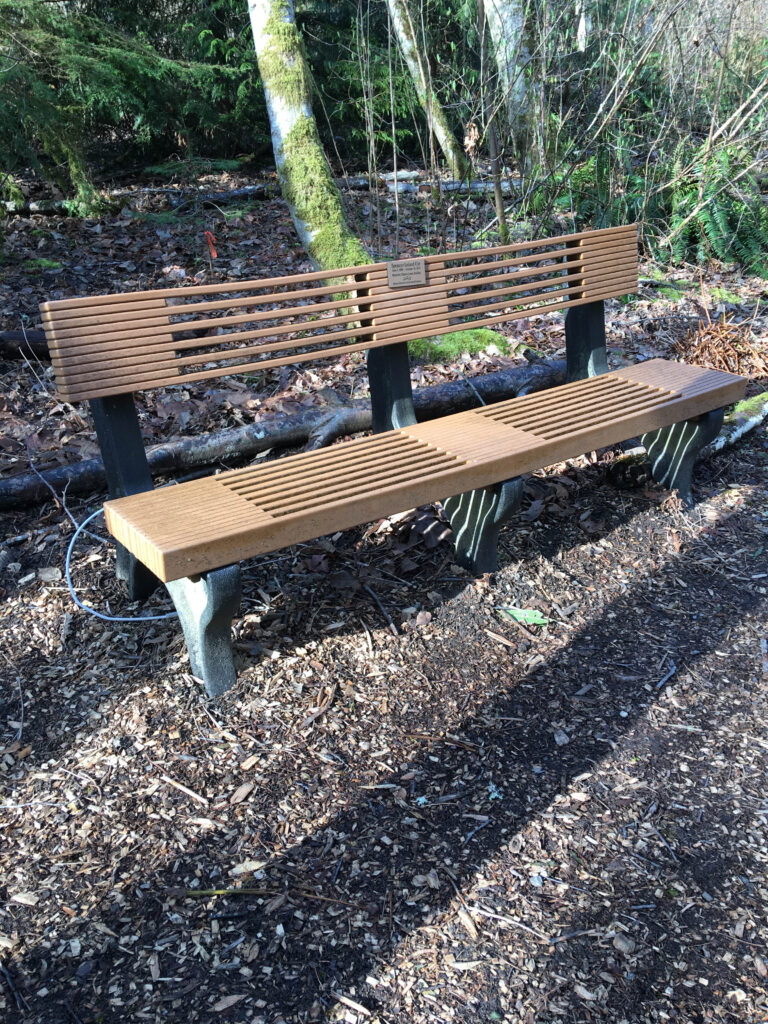 A commemorative bench in Grace Cole Nature Park. The plaque is for a loved one who was a "pacifist, musician, and nature-lover." What three words best describe you? Are they words you'd want on your own bench?