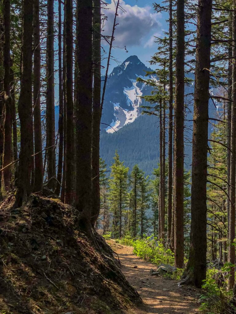 There are plenty of great vantage points all along the hike. Catching this view of McClellan Butte reminded me that I haven't visited it in over twenty years. Maybe within the next month!