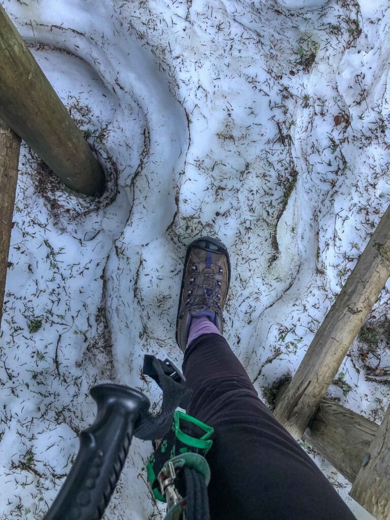 Other than my Keen hiking boots, a pole and microspikes helped in the snow. My traction devices ended up coming off about ten minutes after I put them on; I decided they were more hassle than help.