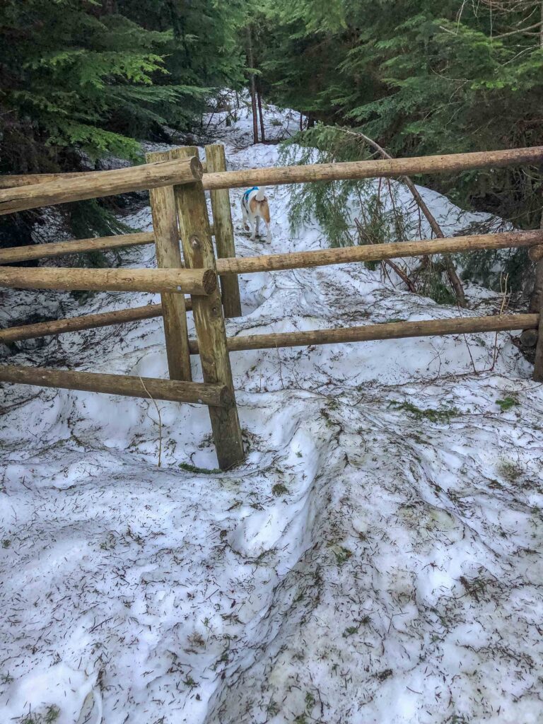 The "turnstile" on the way up the last part of Mt. Washington, just beyond the lake.