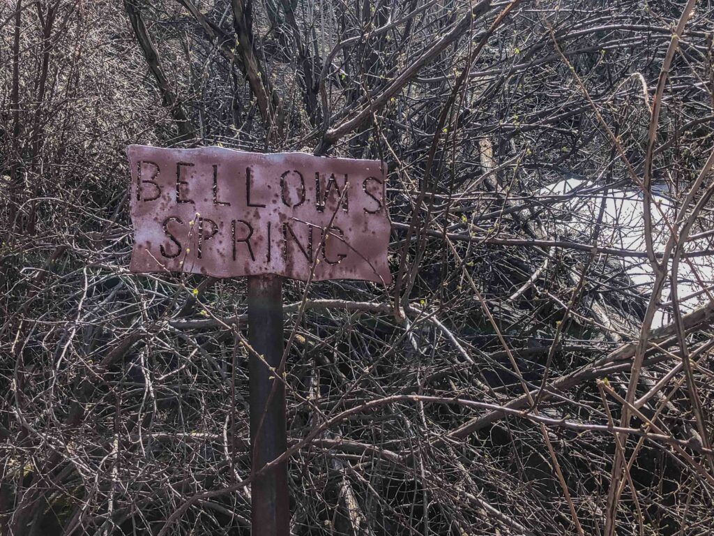 SNOW!! In SE Arizona in April!! Bellows Spring at 8,153' had running water beneath a snow patch. A hike after my own heart.